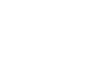 logo rji gestão e investimentos branco sem fundo empresa parceira BRITech